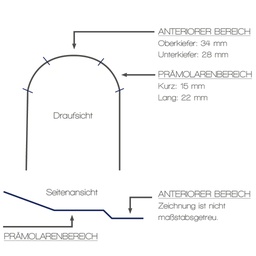 FLEXADENT NiTi SE Intrusion